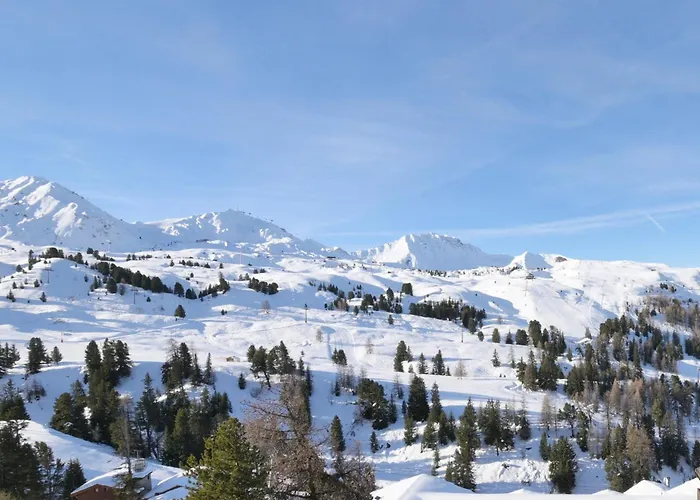 Lesetoilesdelaplagne - Le Diamant * La Plagne